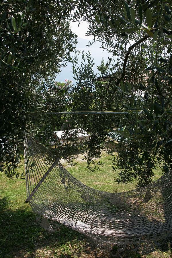 Appartamenti Serena - Nonna Agnese การ์ญาโน ภายนอก รูปภาพ